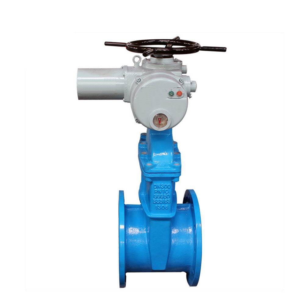 進口（kǒu）電動彈性座封閘閥（fá）