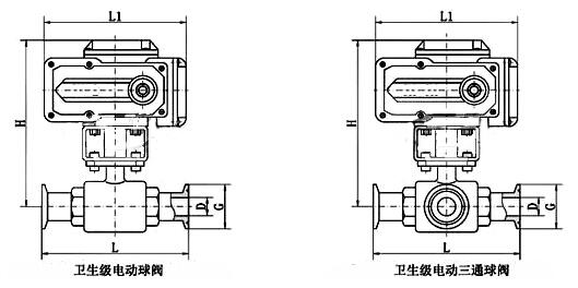 進口電動衛（wèi）生級球閥結構（gòu）圖（tú）.jpg