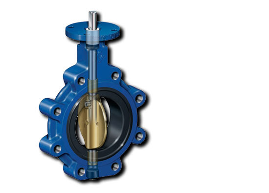 進（jìn）口蝶閥管道安裝說明書