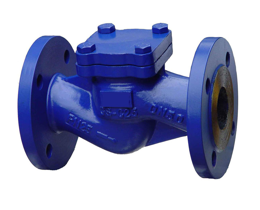 進口升降式止回閥