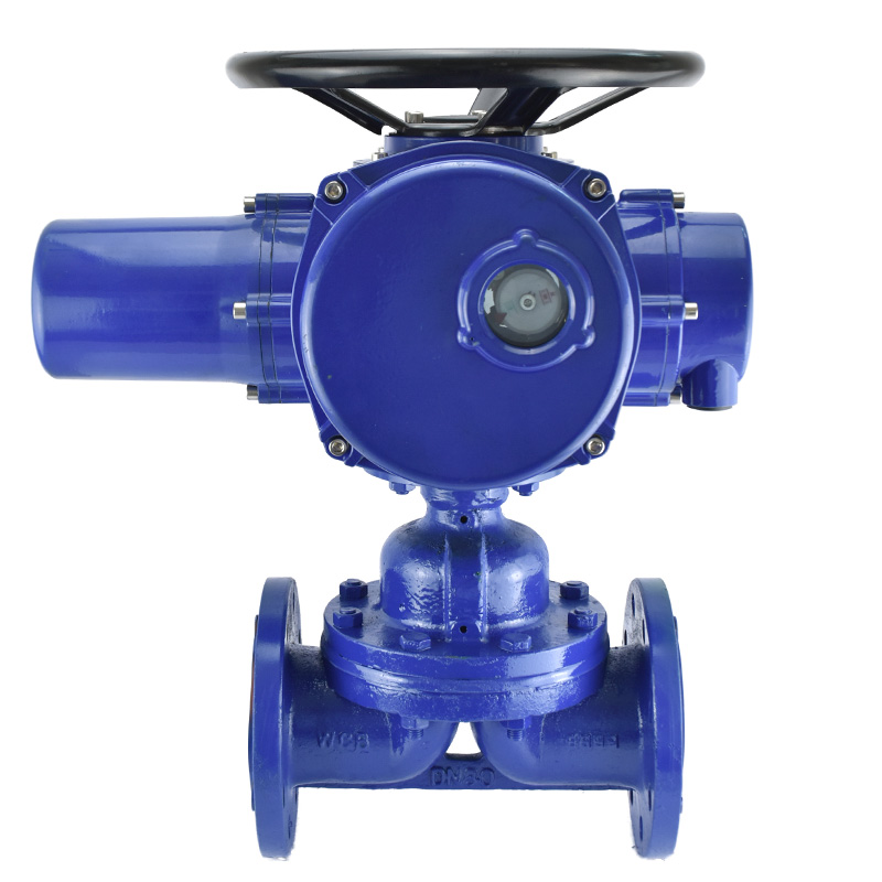 進口電動隔膜閥